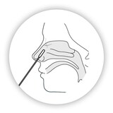 thumbnail of COVID-19 Antigen Rapid Test, Laientest (Nase), 5er Set