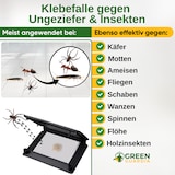 thumbnail of Ungeziefer / Insekten Falle mit Pheromon-Lockstoff: 1