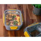 thumbnail of PIKA - Boite alimentaire 1050ml en verre et couvercle en verre trempé - Hermétique, Compatible au micro-ondes, four, congélateur - GlassShock