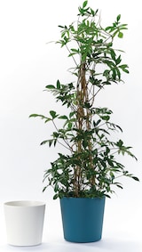 thumbnail of EURO3PLAST Blumentopf Fyre Ø 40 cm weiß