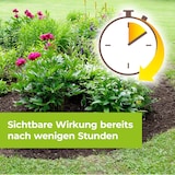 thumbnail of Protect Garden Permaclean Duo Unkraut & Wurzel Ex 500 ml