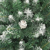 Ein mit Schnee bedeckter Tannenzapfen auf einem Weihnachtsbaum.
