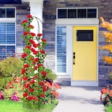 thumbnail of Relaxdays Rankobelisk beschichtetes Metall 190 cm, witterungsbeständige Garten Rankhilfe für Rosen und Blumen, grün