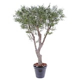 thumbnail of VERT ESPACE olivier geant 185 cm