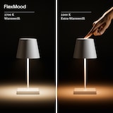 thumbnail of Nuindie mini LED Akku Tischleuchte bronzefarben IP54