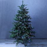 thumbnail of LED Baummantel Lichterkette 10 Stränge 180LED bunt 13Funkt. Fernbedienung 1,8m