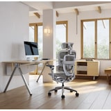 thumbnail of Ergonomischer Bürostuhl / Bürodrehstuhl mit Kopfstütze und Lendenwirbelstütze Business Chair, grau (1 Stück)