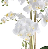 thumbnail of CREATIV green künstliche Pflanze Phalaenopsis, 70cm, "Real Touch"