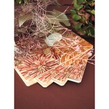 thumbnail of Rhodia Kollektion Orange Botanik, Notizheft A5, 32 Blatt liniert, elfenbein 90g - Blumenstrauß 120030C