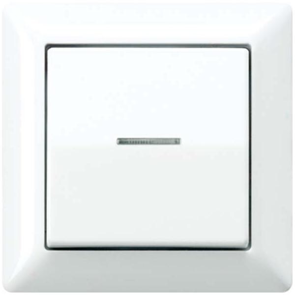 Jung Abdeckung Lichtleiter ws AS 590 KO5 AS590KO5