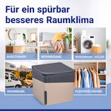 thumbnail of WENKO Raumentfeuchter Mod. Cube Beige 1000 g, 2er Set