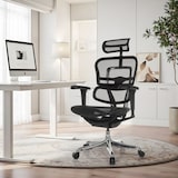 thumbnail of Bureaustoel / directiestoel ERGOHUMAN ULTRA GEN2 mesh zwart hjh OFFICE
