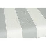 thumbnail of Strandkorb deVries Profi Ostsee Fehmarn - PE grau - Modell 989