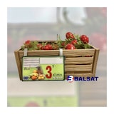 thumbnail of Portaprecio Fruteria Mod. Asturias - 12 ud.
