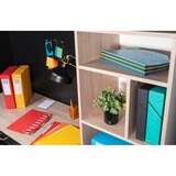 thumbnail of Exacompta - Réf. 5307E - Carton de 8 trieurs HARMONIKA - avec élastiques et fenêtres découpées   - 7 compartiments - pour A4 - couleurs assorties