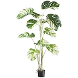 thumbnail of CREATIV green künstliche Pflanze Monstera deliciosa variegata, 160cm
