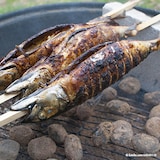 thumbnail of PAPSTAR 20 Grill-Spieße "pure" 80 cm x 8 mm x 8 mm "Steckerlfisch"