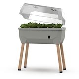 thumbnail of Gusta Garden Sammy Salad Drinnen/Draußen Topfpflanzer Freistehend Polypropylen (PP), Holz Hellgrau, Durchscheinend, Transparent
