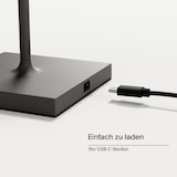 thumbnail of Gastropack 6x Nuindie mini USB-C 25cm graphitgrau