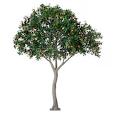 thumbnail of Naranjo artificial premium 300 cm verde