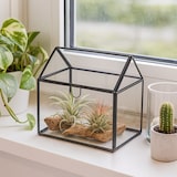 thumbnail of Relaxdays Pflanzenterrarium, Glas & Zinn, Deko Glashaus für Kakteen & Moos, Glaskasten für Fensterbank, schwarz