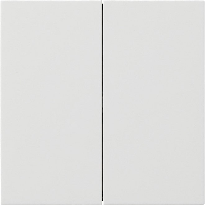 Gira Wippe 2-fach 5370112