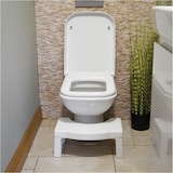 thumbnail of Tabouret de toilette pliant Aidapt VB540C conçu pour soutenir une posture de toilette correcte, Facile à nettoyer