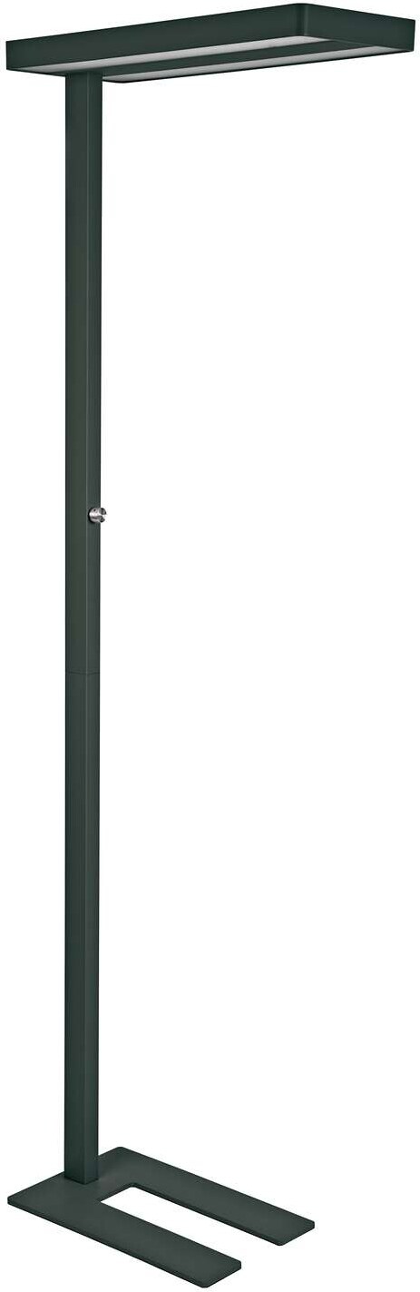LED-Standleuchte MAULjaval, dimmbar schwarz