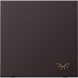 thumbnail of Jung Wippe AL 2990 L D AL2990LD