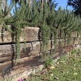 thumbnail of Traviesa Madera 22x12x250cm