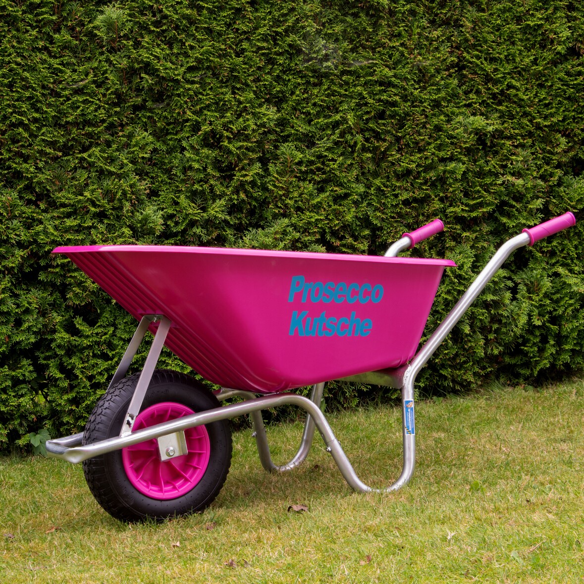 Schubkarre Proseccokutsche PP 100 L 250 kg Gartenschubkarre Schiebkarre pink