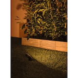 thumbnail of Paulmann Plug & Shine Projecteur de jardin LED Sting Spot individuel favorable aux insectes IP67 2200K 6,3W   Anthracite 94728