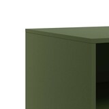 thumbnail of vidaXL TV-Schrank Olivgrün 67x39x44 cm Stahl