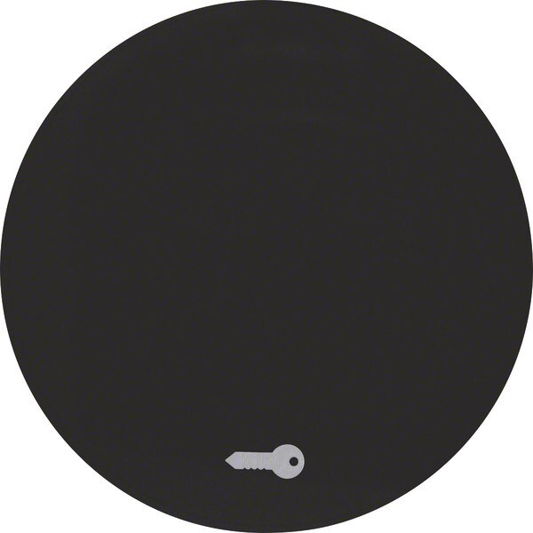 Berker Wippe sw/gl 16202015