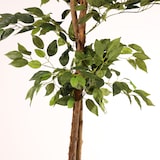 thumbnail of Albero artificiale ficus benjamina 180 cm | Naturing Monde - Interno - Tronco d'albero naturale