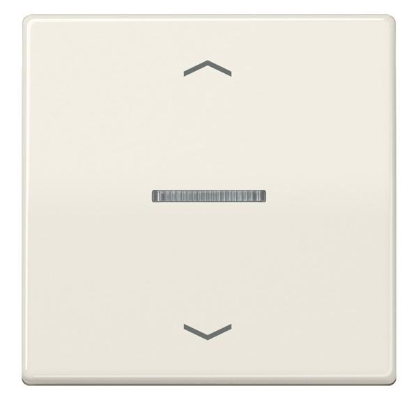 Jung Wippe Symbole/Lichtl.ws AS 591 KO5P AS591KO5P