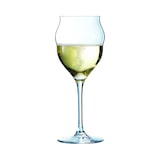 thumbnail of Magma Elfenbein - 6 Sektflöten 30 cl