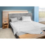 thumbnail of BeCo Kuschelweich Set MF50 Bettdecke und Kopfkissen - Größe BW: 155 x 220 cm