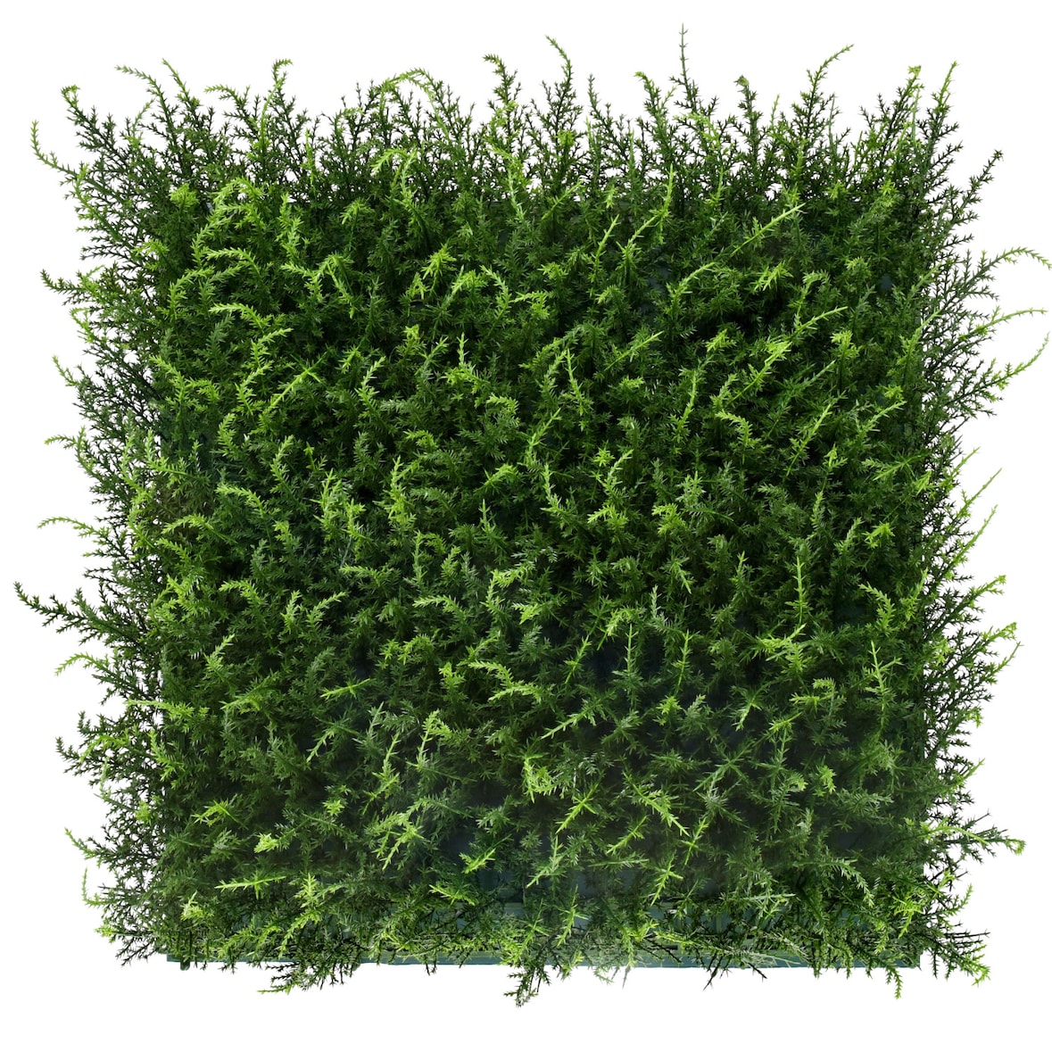 Bonerva | Jardín Vertical Artificial Halepensis | Pack 4 Piezas 50x50cm (1m²)| Planta artificial decoración oficina, hotel, restaurante | MAL1212