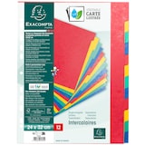 thumbnail of Exacompta - Réf. 7034E - Carton de 5 Intercalaires en véritable carte lustrée 225g/m2 - 12 onglets neutres - format 24x32cm - Couleurs assorties