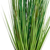 thumbnail of CREATIV green künstliche Pflanze Miscanthusgras im Kunststofftopf, 115 cm, UV-beständig
