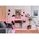 thumbnail of Paulmann Klemmleuchte Vitis Flexarm Schnurschalter  Schwarz 230V E14 95430