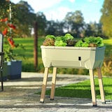 thumbnail of Gusta Garden Sammy Salad Drinnen/Draußen Topfpflanzer Freistehend Polypropylen (PP), Holz Hellgrau, Durchscheinend, Transparent