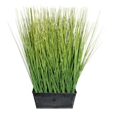 thumbnail of CREATIV green künstliche Pflanze Gras,ca 46cm grün im Zinkkasten schwarz 20x14x9cm