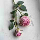 thumbnail of Rose Artificiale 3 pezzi Set Rosa 55cm – Decorazione Romantica e Fresca per Eventi e Ambienti Interni