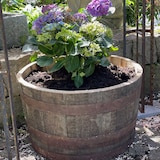 thumbnail of D 65cm - Halbes originales schottisches Whiskyfass