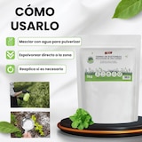 thumbnail of Remi Hogar Tierra de Diatomeas Micronizada 1 kg | 100% Natural Ecológico | Control de Plagas, Huerto, Jardín, Animales y Gallineros | Ultrafina