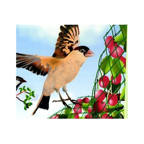mobile_image