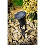 thumbnail of Außenleuchte Gartenstrahler mit Erdspieß HORTUS BLACK IP65 GU10 schwarz EDO777112 EDO