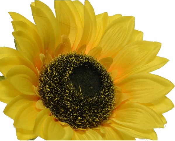 mobile_image
